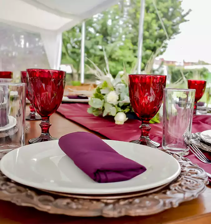 jardin de fiestas